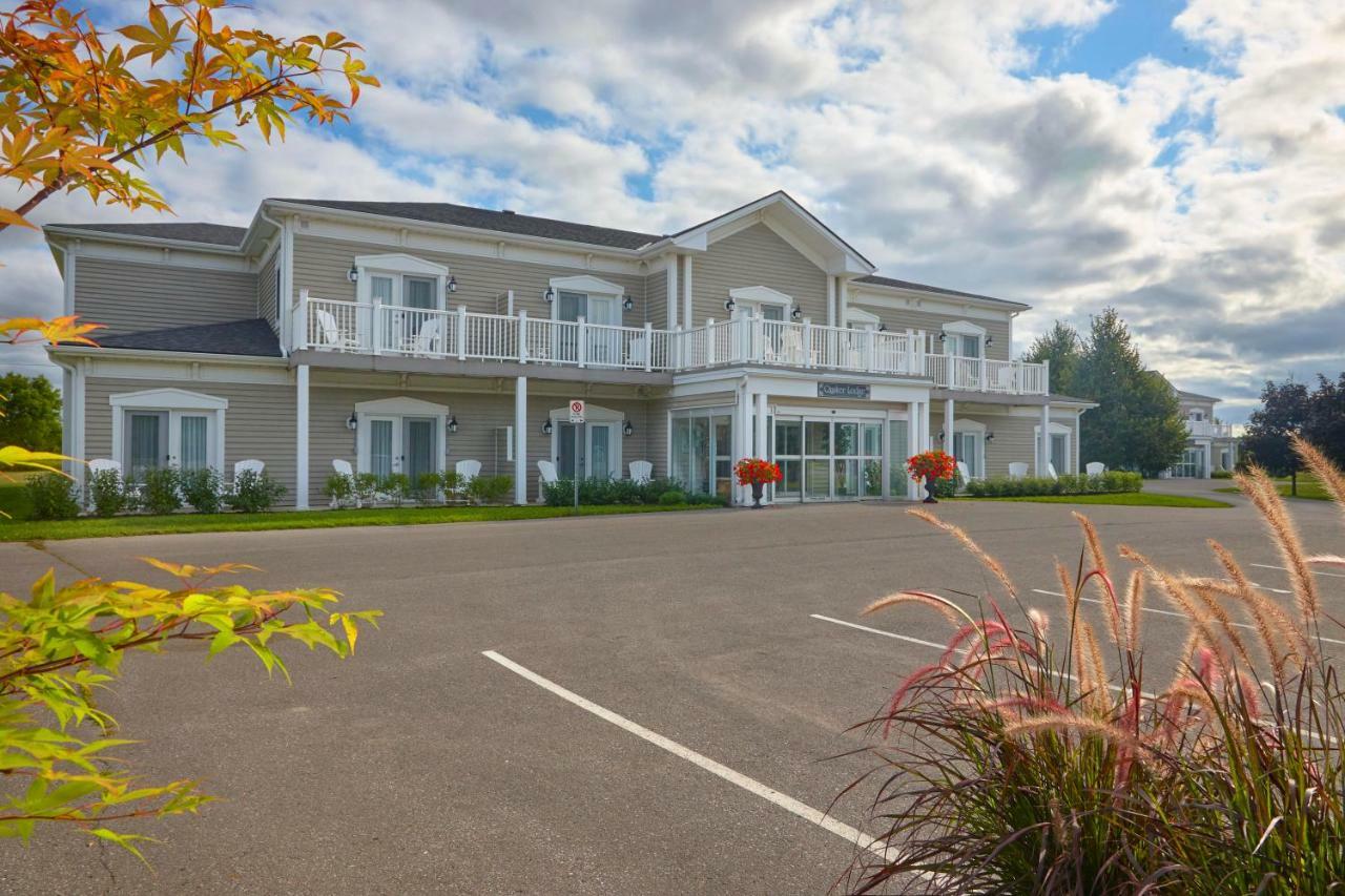 The Waring House Hotell Picton Exteriör bild
